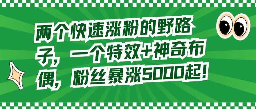 两个快速涨粉的野路子，一个特效+神奇布偶，粉丝暴涨5000起【揭秘】-问小徐资源库