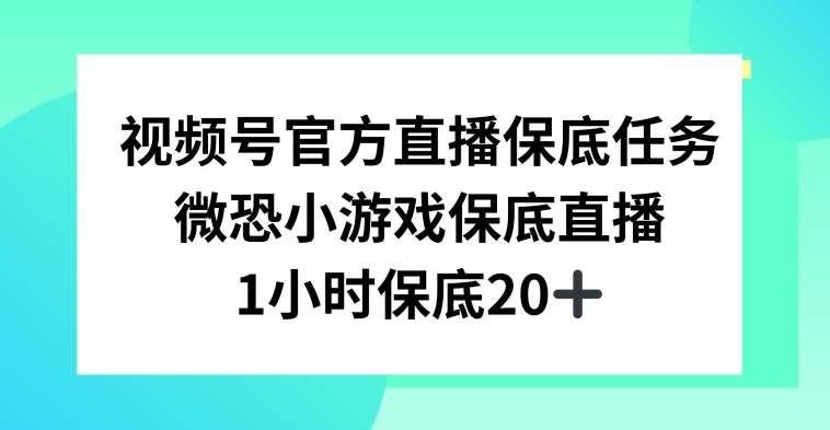 视频号直播任务，微恐小游戏，1小时20+【揭秘】-问小徐资源库