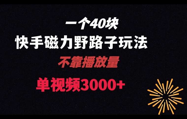 一个40块，快手联合美团磁力新玩法，无视机制野路子玩法，单视频收益4位数【揭秘】-问小徐资源库