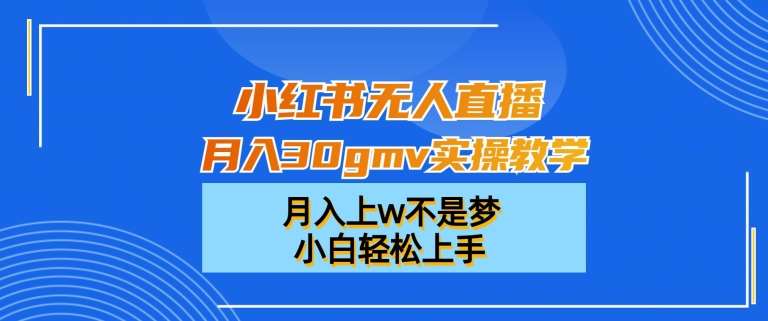 小红书无人直播月入30gmv实操教学，月入上w不是梦，小白轻松上手【揭秘】-问小徐资源库