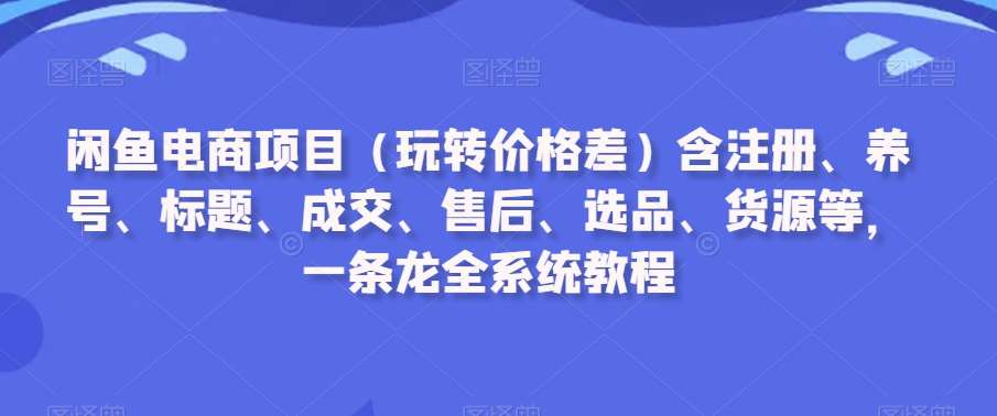 闲鱼电商项目（玩转价格差）含注册、养号、标题、成交、售后、选品、货源等，一条龙全系统教程-问小徐资源库