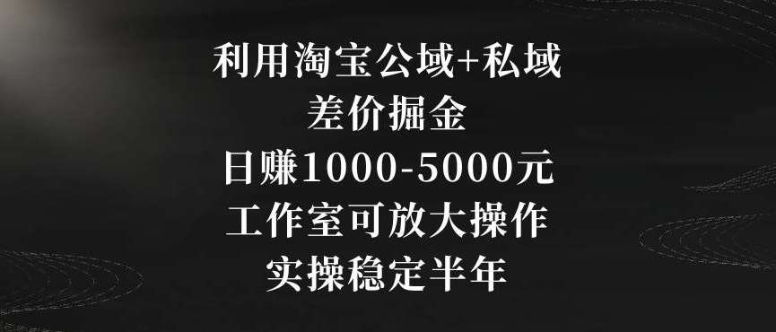 利用淘宝公域+私域差价掘金，日赚1000-5000元，工作室可放大操作，实操稳定半年【揭秘】-问小徐资源库