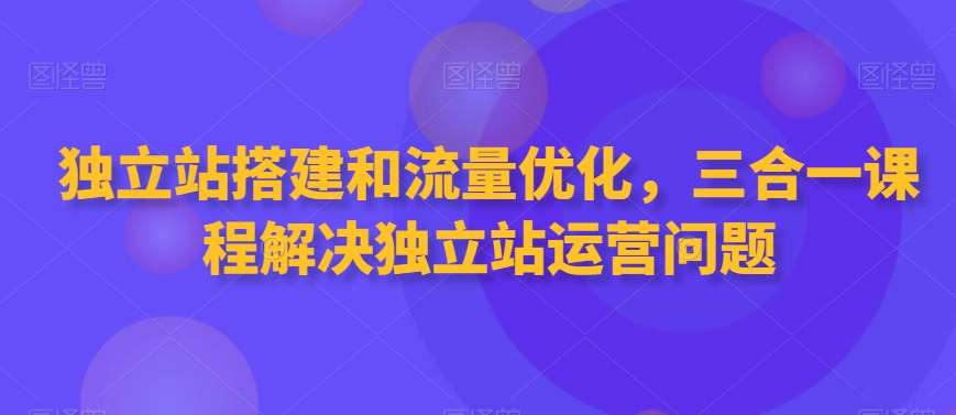 独立站搭建和流量优化，三合一课程解决独立站运营问题-问小徐资源库