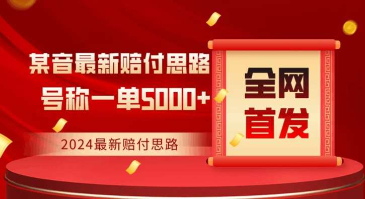 全网首发，2024最新抖音赔付项目，号称一单5000+保姆级拆解【仅揭秘】-问小徐资源库