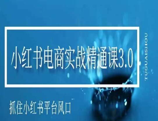 小红书电商实战精通课3.0，抓住小红书平台的风口，不错过有一个赚钱的机会-问小徐资源库