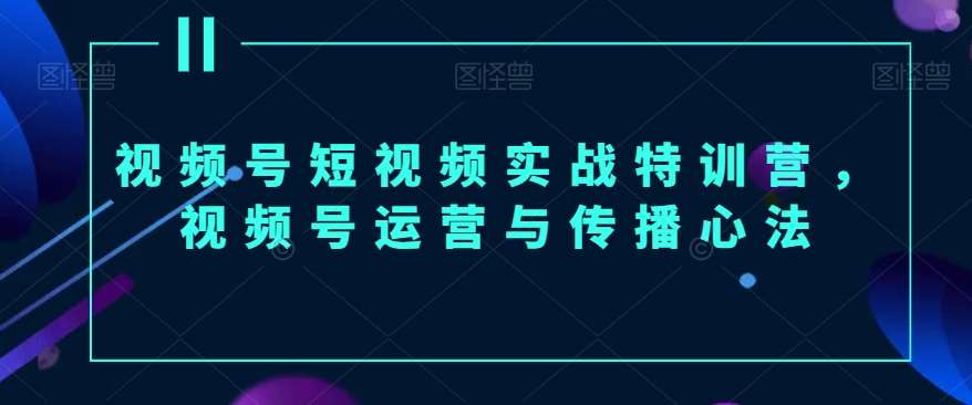 视频号短视频实战特训营，视频号运营与传播心法-问小徐资源库
