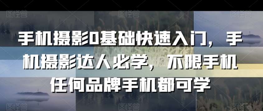 手机摄影0基础快速入门，手机摄影达人必学，不限手机任何品牌手机都可学-问小徐资源库
