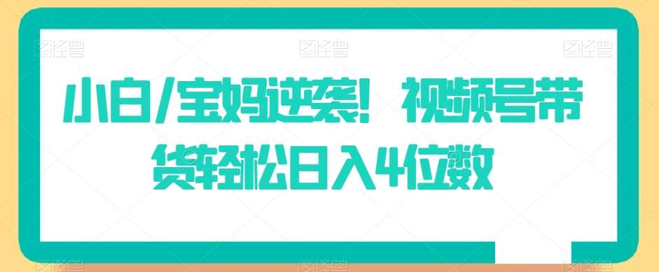 小白/宝妈逆袭！视频号带货轻松日入4位数【揭秘】-问小徐资源库