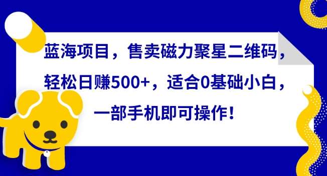 蓝海项目，售卖磁力聚星二维码，轻松日赚500+，适合0基础小白，一部手机即可操作【揭秘】-问小徐资源库