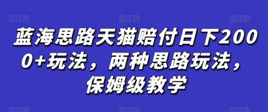 蓝海思路天猫赔付日下2000+玩法，两种思路玩法，保姆级教学【仅揭秘】-问小徐资源库