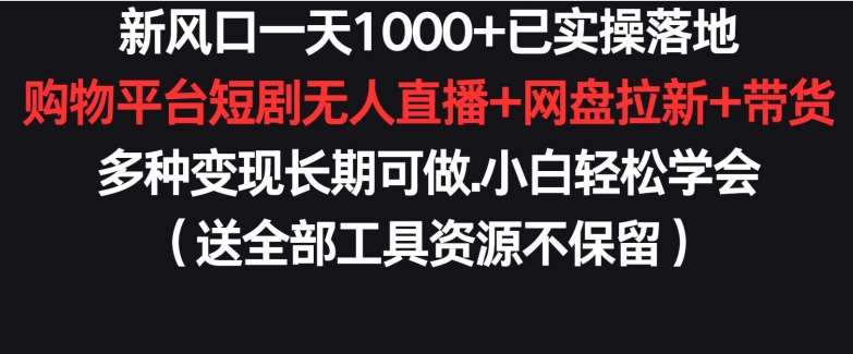 新风口一天1000+已实操落地购物平台短剧无人直播+网盘拉新+带货多种变现长期可做【揭秘】-问小徐资源库