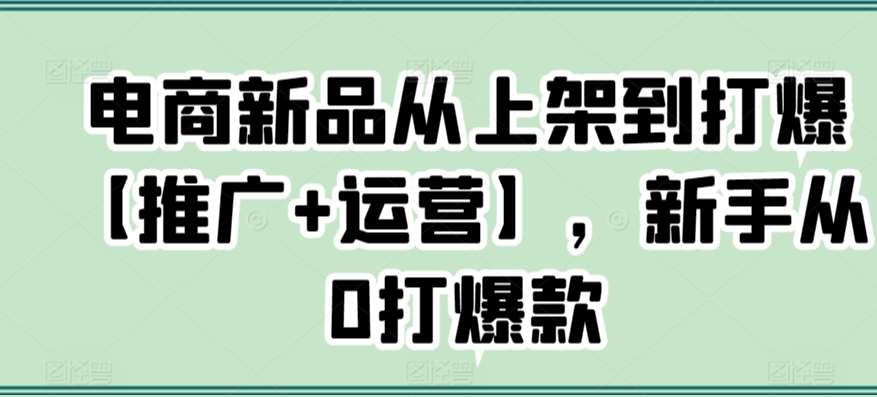 电商新品从上架到打爆【推广+运营】，新手从0打爆款-问小徐资源库