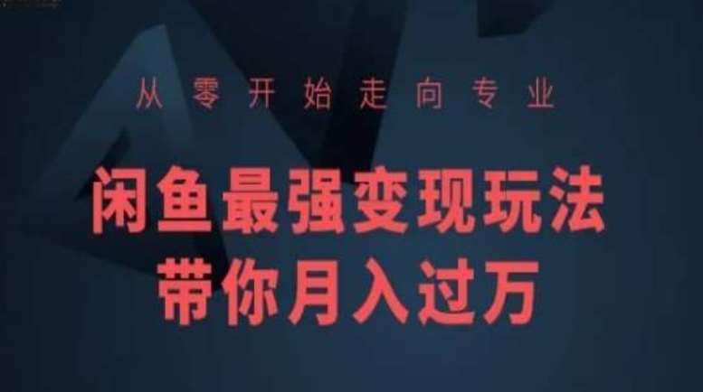 从零开始走向专业，闲鱼最强变现玩法带你月入过万-问小徐资源库
