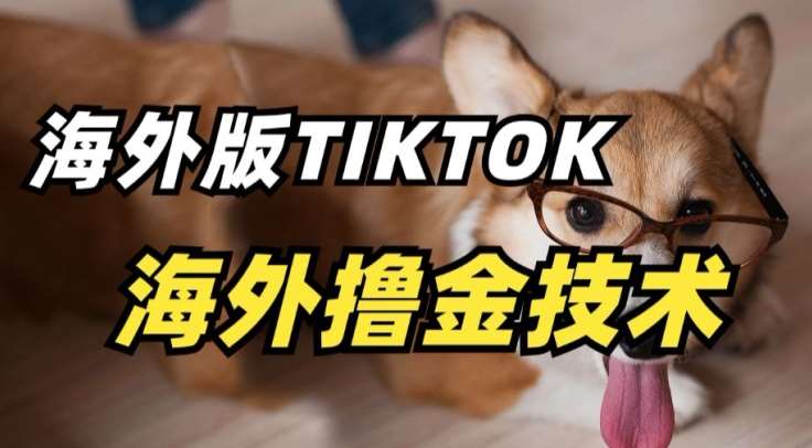 抖音海外版tiktok撸金技术，这个风口行业，赚钱真的不难【揭秘】-问小徐资源库