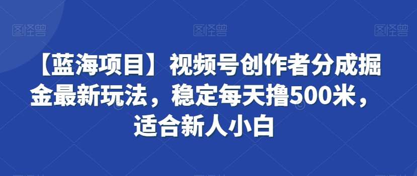 【蓝海项目】视频号创作者分成掘金最新玩法，稳定每天撸500米，适合新人小白【揭秘】-问小徐资源库
