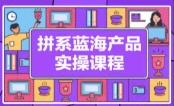 拼系冷门蓝海产品实操课程，从注册店铺到选品上架到流量维护环环相扣-问小徐资源库