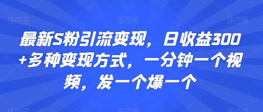 最新S粉引流变现，日收益300+多种变现方式，一分钟一个视频，发一个爆一个【揭秘】-问小徐资源库