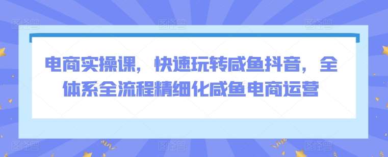 电商实操课，快速玩转咸鱼抖音，全体系全流程精细化咸鱼电商运营-问小徐资源库