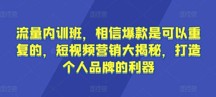 流量内训班，相信爆款是可以重复的，短视频营销大揭秘，打造个人品牌的利器-问小徐资源库