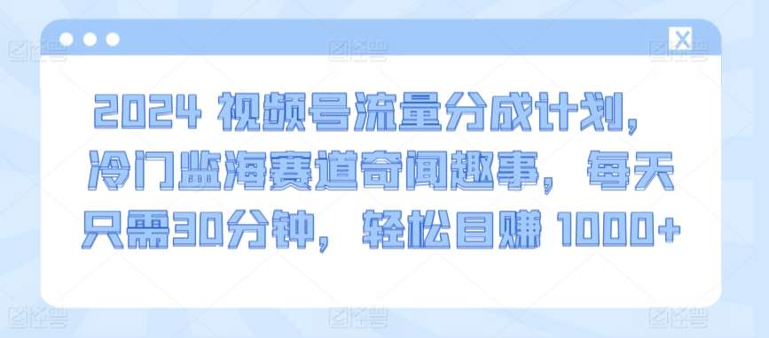 2024视频号流量分成计划，冷门监海赛道奇闻趣事，每天只需30分钟，轻松目赚 1000+【揭秘】-问小徐资源库