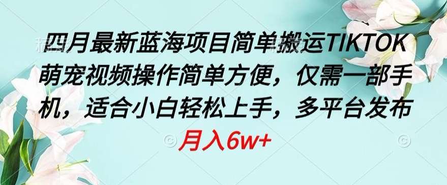 四月最新蓝海项目，简单搬运TIKTOK萌宠视频，操作简单方便，仅需一部手机【揭秘】-问小徐资源库