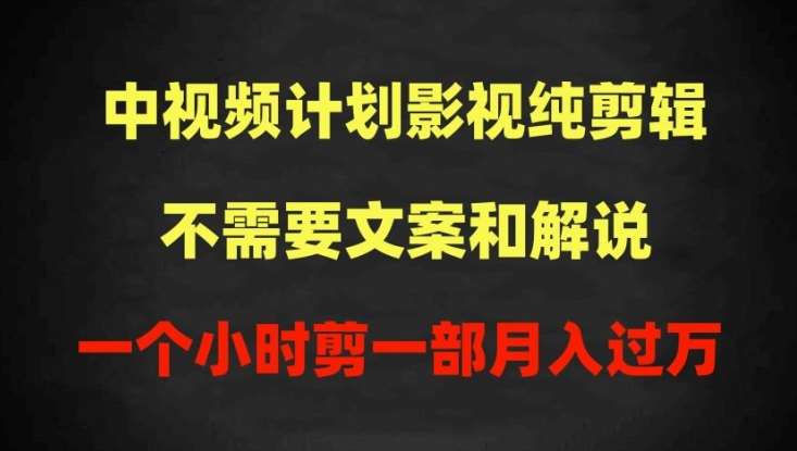 中视频计划影视纯剪辑，不需要文案和解说，一个小时剪一部，100%过原创月入过万【揭秘】-问小徐资源库