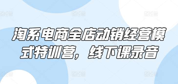 淘系电商全店动销经营模式特训营，线下课录音-问小徐资源库