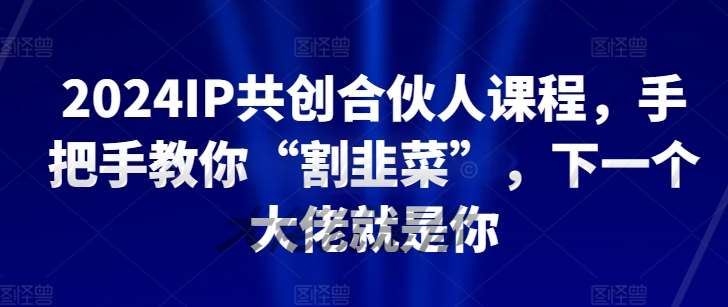 2024IP共创合伙人课程，手把手教你“割韭菜”，下一个大佬就是你-问小徐资源库