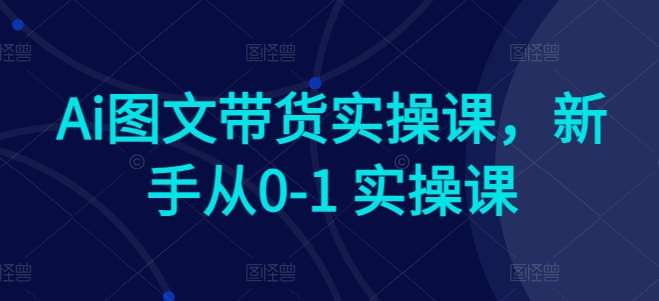 Ai图文带货实操课，新手从0-1 实操课-问小徐资源库