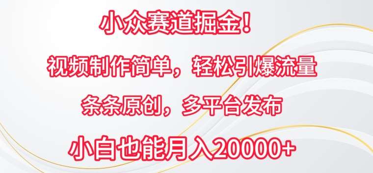 小众赛道掘金，视频制作简单，轻松引爆流量，条条原创，多平台发布【揭秘】-问小徐资源库