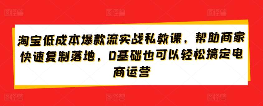 淘宝低成本爆款流实战私教课，帮助商家快速复制落地，0基础也可以轻松搞定电商运营-问小徐资源库