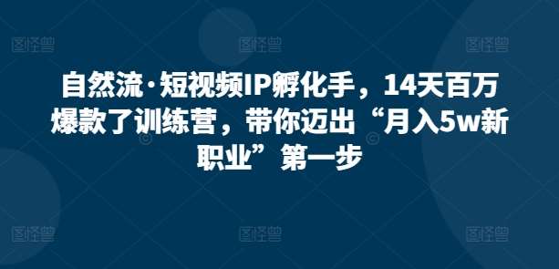 自然流·短视频IP孵化手，14天百万爆款了训练营，带你迈出“月入5w新职业”第一步-问小徐资源库