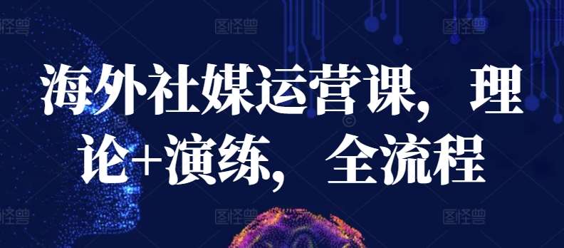 海外社媒运营课，理论+演练，全流程-问小徐资源库