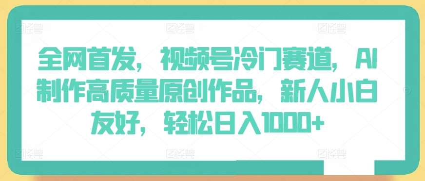 全网首发，视频号冷门赛道，AI制作高质量原创作品，新人小白友好，轻松日入1000+【揭秘】-问小徐资源库