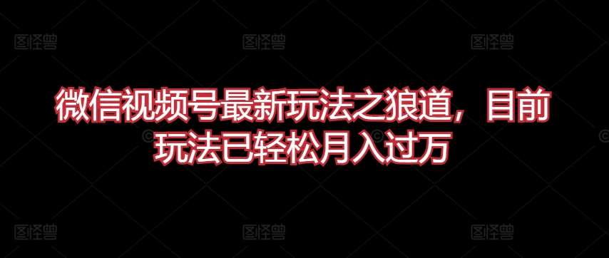 微信视频号最新玩法之狼道，目前玩法已轻松月入过万【揭秘】-问小徐资源库
