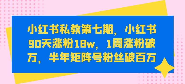 小红书私教第七期，小红书90天涨粉18w，1周涨粉破万，半年矩阵号粉丝破百万-问小徐资源库