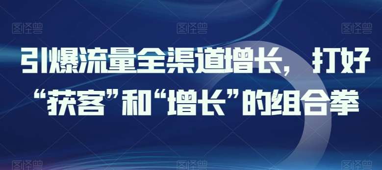 引爆流量全渠道增长，打好“获客”和“增长”的组合拳-问小徐资源库