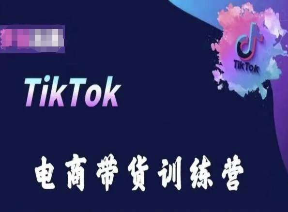 TikTok电商带货训练营，跟随时代潮流，跨境掘金-问小徐资源库