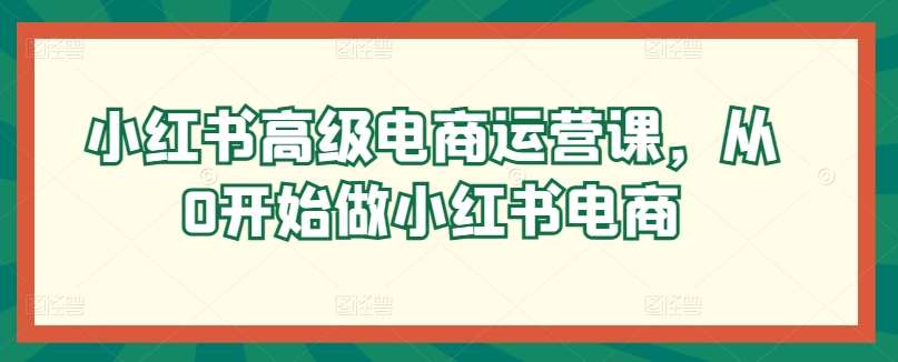 小红书高级电商运营课，从0开始做小红书电商-问小徐资源库