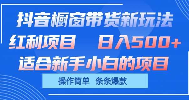 抖音橱窗带货新玩法，单日收益几张，操作简单，条条爆款【揭秘】-问小徐资源库