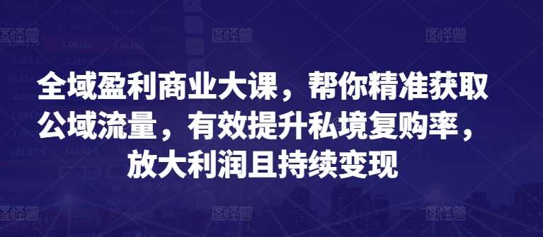 全域盈利商业大课，帮你精准获取公域流量，有效提升私境复购率，放大利润且持续变现-问小徐资源库