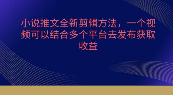 小说推文全新剪辑方法，一个视频可以结合多个平台去发布获取【揭秘】-问小徐资源库