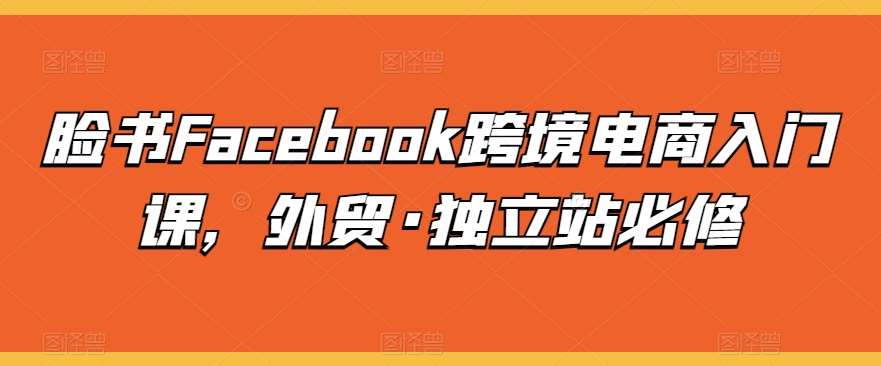 脸书Facebook跨境电商入门课，外贸·独立站必修-问小徐资源库