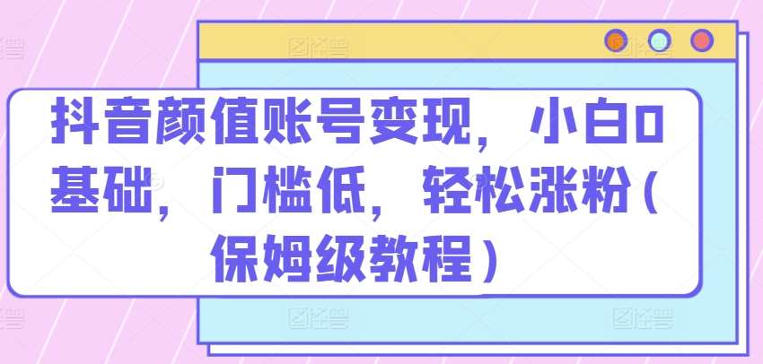 抖音颜值账号变现，小白0基础，门槛低，​轻松涨粉(保姆级教程)【揭秘】-问小徐资源库