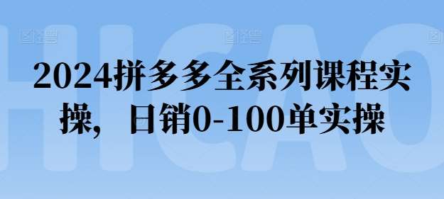 2024拼多多全系列课程实操，日销0-100单实操【必看】-问小徐资源库