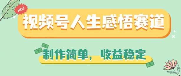 视频号人生感悟赛道，制作简单，收益稳定【揭秘】-问小徐资源库