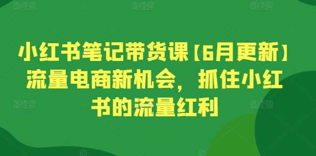 小红书笔记带货课【6月更新】流量电商新机会，抓住小红书的流量红利-问小徐资源库