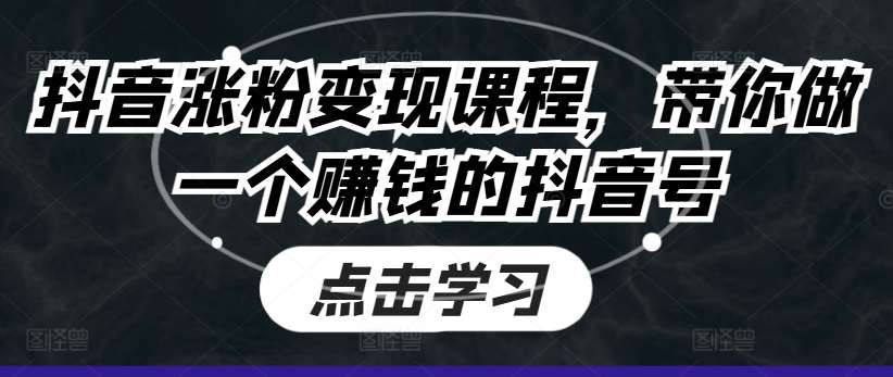 抖音涨粉变现课程，带你做一个赚钱的抖音号-问小徐资源库