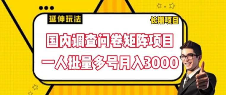 图片[1]-国内调查问卷矩阵项目，一人批量多号月入3000【揭秘】-问小徐资源库