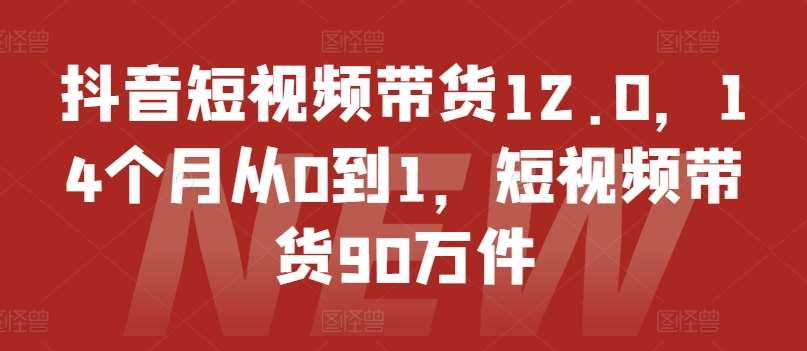 抖音短视频带货12.0，14个月从0到1，短视频带货90万件-问小徐资源库